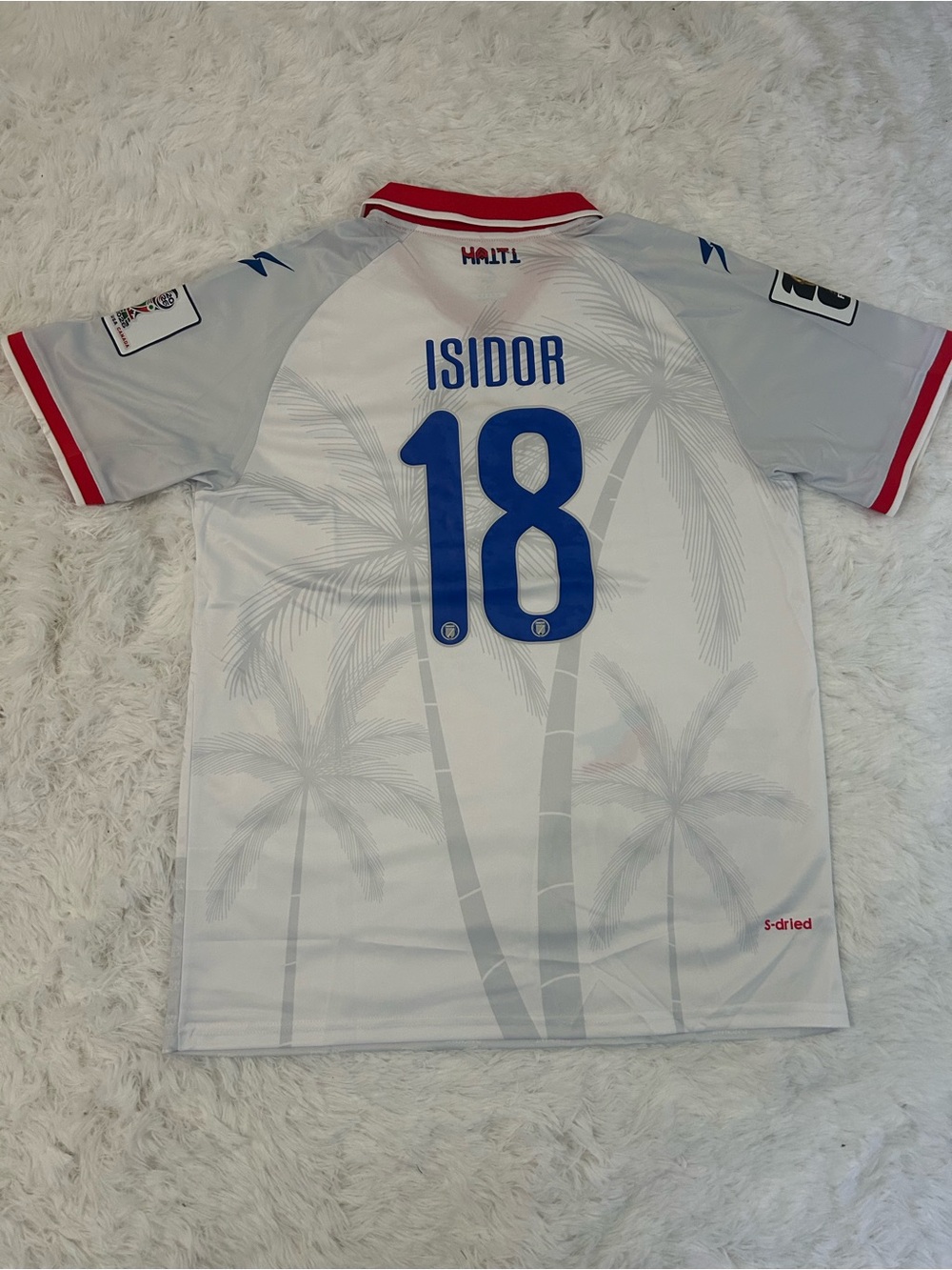 Haiti Men's White & Gray Soccer Jersey - Number 18
